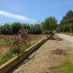 Отель типа 