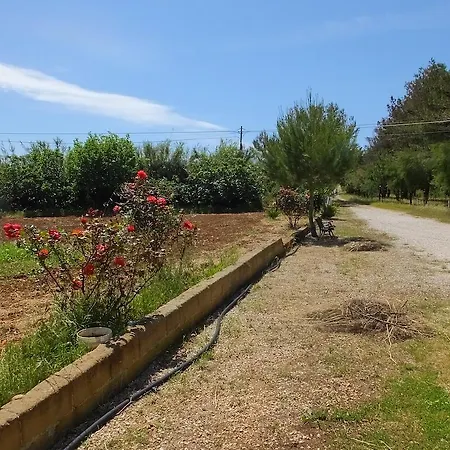 Bed & Breakfast Boschetto - 3*