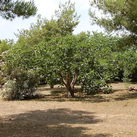 Boschetto - Maruggio