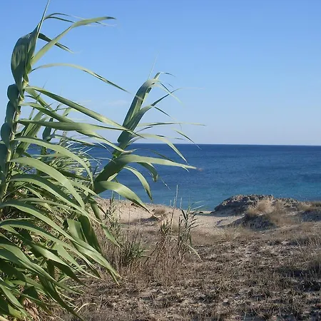 Bed & Breakfast Boschetto - Maruggio
