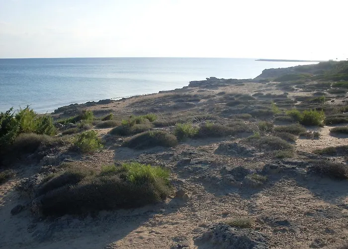 فندق مبيت وإفطار Boschetto - 3*